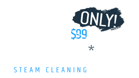 $79 Only 2 Rooms Steam Cleaning